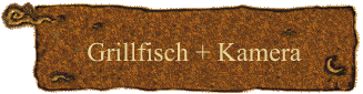 Grillfisch + Kamera